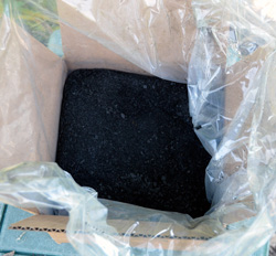 Biochar