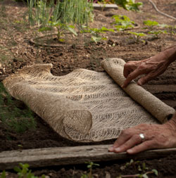 Putting burlap on top