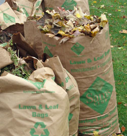 Leaf bags