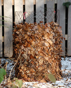 leaf bin