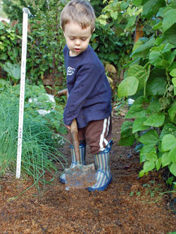 Digging the mulch on our garden path 