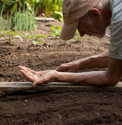 Planting board