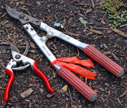 Pruners