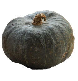 Squash