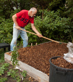 Spreading hardwood chips